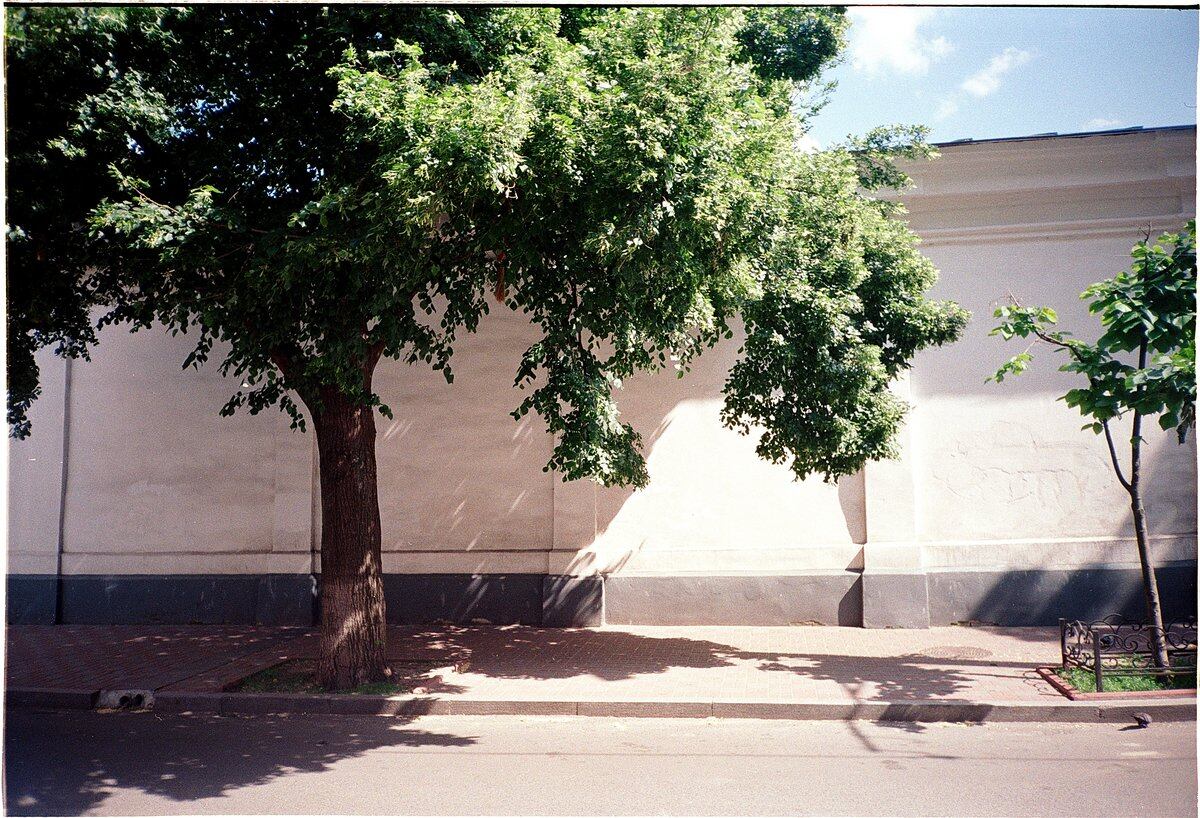 Photo Walk n6